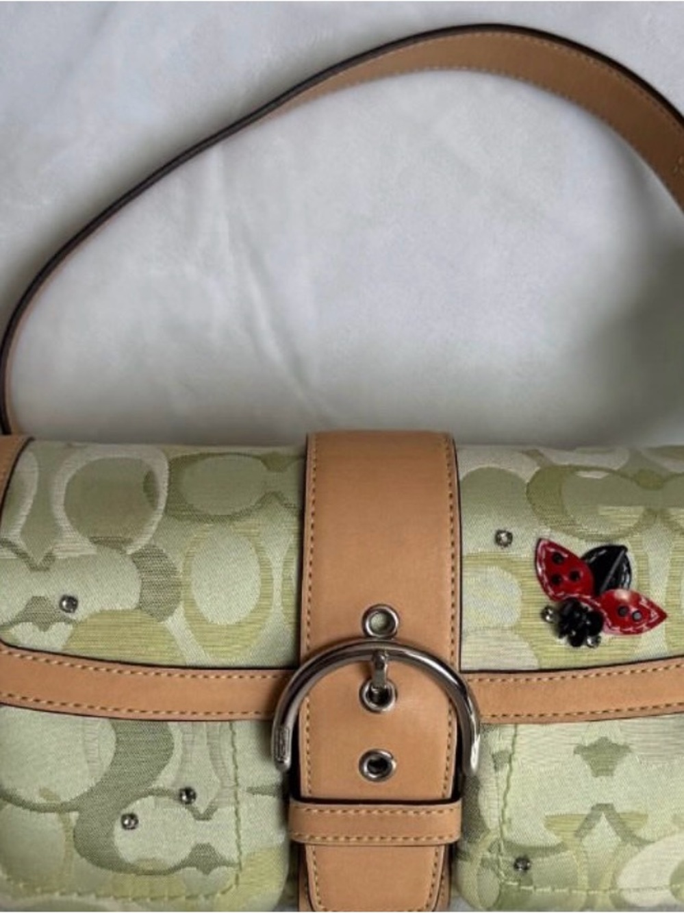 ISO LARGE LADYBUG COACH BAG